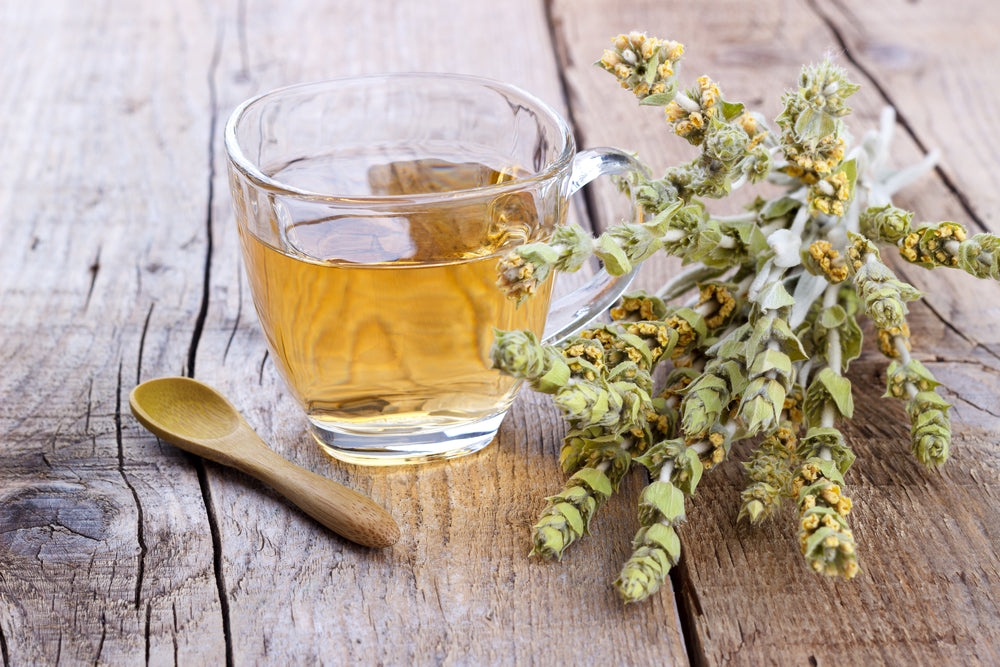 Mountain Tea: The Healing Herb of the Greek Mountains – Anthos